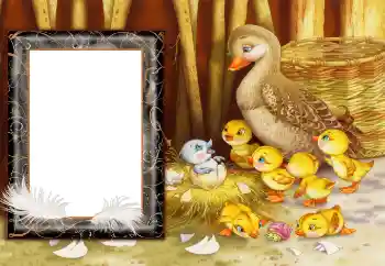 Фотоэффект с категории Деревня и дача № 166682