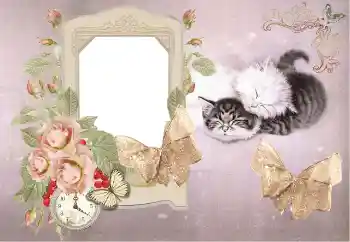 Фотоэффект с категории Купание, еда, сон № 153184 Фотоэффект с категории Купание, еда, сон № 153184