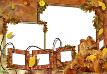 Фотоэффект с категории Купание, еда, сон № 160682