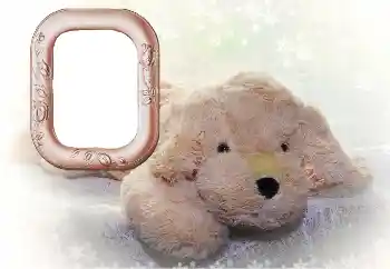 Фотоэффект с категории Мои игрушки и любимцы № 169102