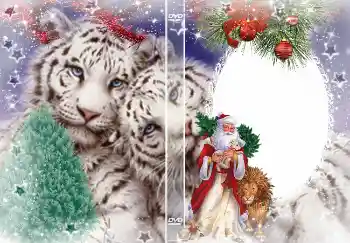 Надпись на рамке: Новый год