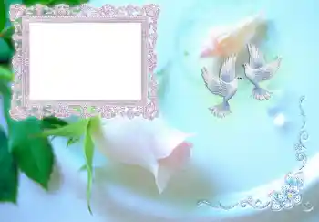 Надпись на рамке: Приглашение на свадьбу Надпись на рамке: Приглашение на свадьбу