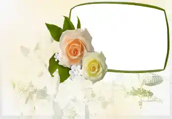 Надпись на рамке: Приглашение на ... Надпись на рамке: Приглашение на ...