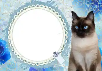 Надпись на рамке: 2026 Надпись на рамке: 2026