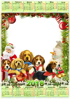 Надпись на рамке: 2026