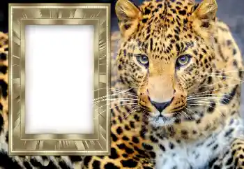 Надпись на рамке: 2026 Надпись на рамке: 2026