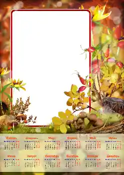 Надпись на рамке: 2026