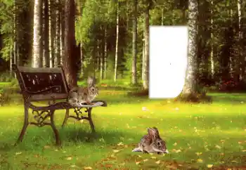 Надпись на рамке: 2026 Надпись на рамке: 2026