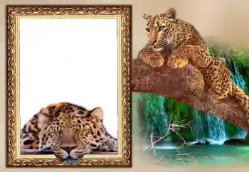 Надпись на рамке: 2026 Надпись на рамке: 2026