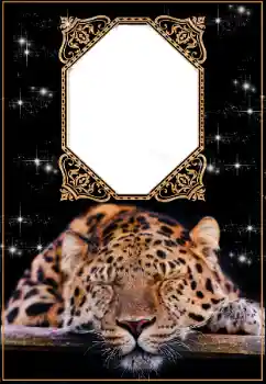 Надпись на рамке: 2026 Надпись на рамке: 2026