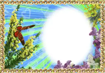 Надпись на рамке: 2026