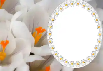 Надпись на рамке: 2026