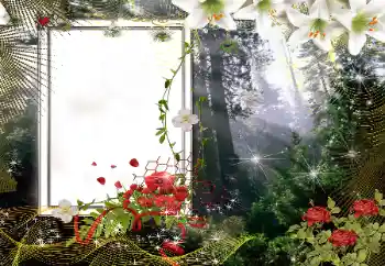 Надпись на рамке: 2026