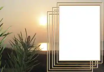 Надпись на рамке: 2026