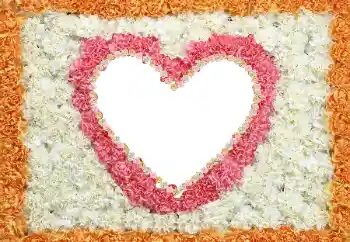 Надпись на рамке: 2026