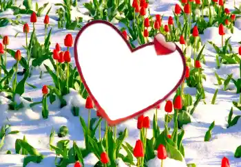 Фотоэффект с категории Рамки для влюбленных № 114247 Фотоэффект с категории Рамки для влюбленных № 114247