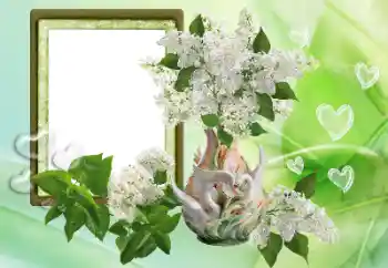 Фотоэффект с категории Рамки для влюбленных № 153257 Фотоэффект с категории Рамки для влюбленных № 153257