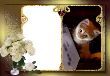 Фотоэффект с категории Рамки для влюбленных № 163583