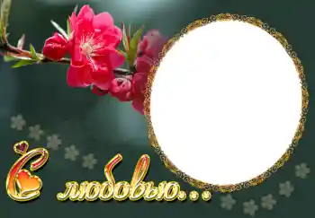 Надпись на рамке: С любовью... Надпись на рамке: С любовью...