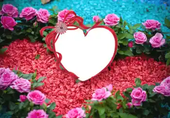 Фотоэффект с категории Рамки для влюбленных № 175547