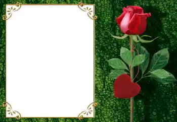 Фотоэффект с категории Рамки для влюбленных № 34006 Фотоэффект с категории Рамки для влюбленных № 34006