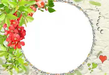 Надпись на рамке: love