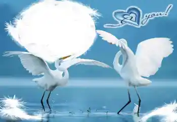 Надпись на рамке: I love you! Надпись на рамке: I love you!