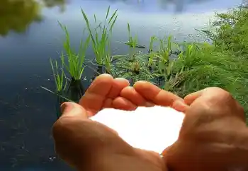 Фотоэффект с категории Рамки для влюбленных № 67019 Фотоэффект с категории Рамки для влюбленных № 67019