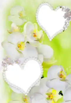 Фотоэффект с категории Рамки для влюбленных № 91900 Фотоэффект с категории Рамки для влюбленных № 91900