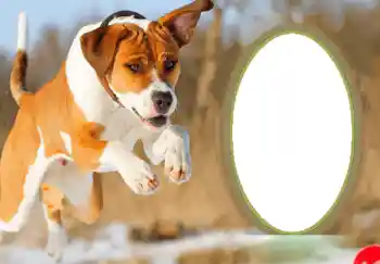 Фотоэффект из категории Открытки на Новый Год № 68755. Надпись на рамке: С Новым Годом!