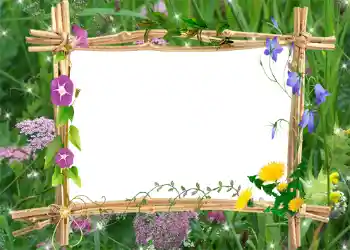 Фотоэффект с категории Лето № 1001 Фотоэффект с категории Лето № 1001