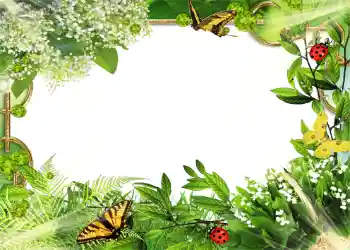 Фотоэффект с категории Лето № 1109 Фотоэффект с категории Лето № 1109