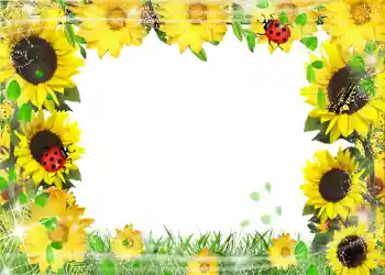 Фотоэффект с категории Лето № 1113 Фотоэффект с категории Лето № 1113