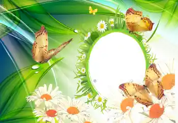 Фотоэффект с категории Лето № 112110 Фотоэффект с категории Лето № 112110