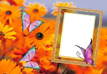 Фотоэффект с категории Лето № 112111 Фотоэффект с категории Лето № 112111