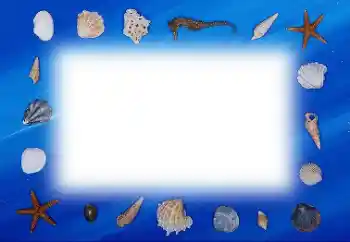 Фотоэффект с категории Лето № 113121 Фотоэффект с категории Лето № 113121