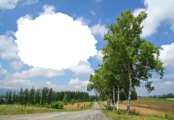 Фотоэффект с категории Лето № 114245