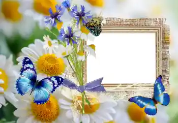 Фотоэффект с категории Лето № 114393