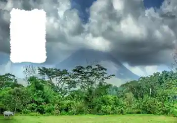 Фотоэффект с категории Лето № 114456 Фотоэффект с категории Лето № 114456