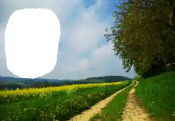 Фотоэффект с категории Лето № 114551