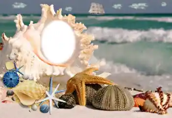 Фотоэффект с категории Лето № 115806