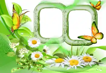 Фотоэффект с категории Лето № 115844 Фотоэффект с категории Лето № 115844