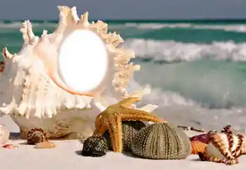 Фотоэффект с категории Лето № 116085 Фотоэффект с категории Лето № 116085