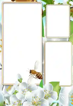 Фотоэффект с категории Лето № 116125 Фотоэффект с категории Лето № 116125