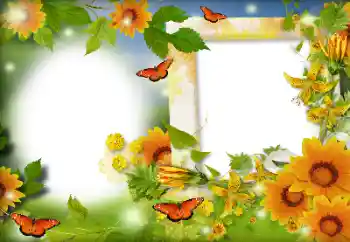 Фотоэффект с категории Лето № 116126 Фотоэффект с категории Лето № 116126