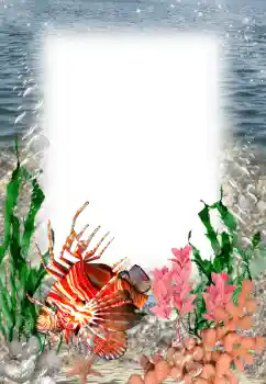 Фотоэффект с категории Лето № 121109 Фотоэффект с категории Лето № 121109