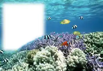 Фотоэффект с категории Лето № 121111 Фотоэффект с категории Лето № 121111