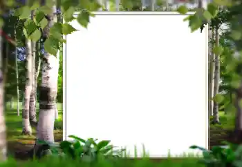 Фотоэффект с категории Лето № 128567 Фотоэффект с категории Лето № 128567