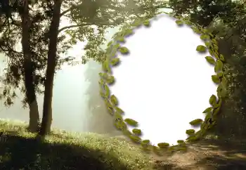 Фотоэффект с категории Лето № 130985 Фотоэффект с категории Лето № 130985