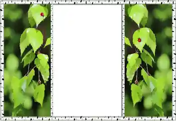 Фотоэффект с категории Лето № 132875 Фотоэффект с категории Лето № 132875